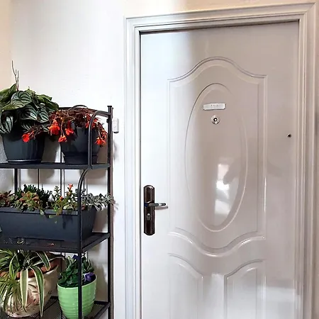 Apartamento Milenka *